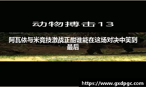 星欧娱乐官方app下载